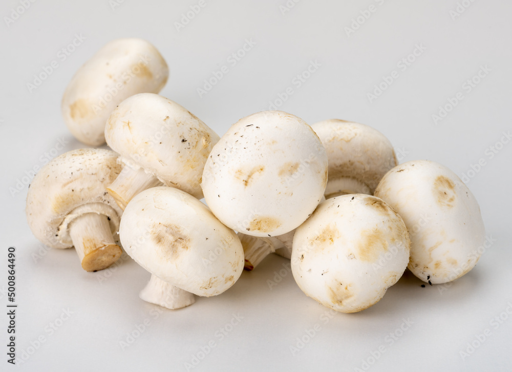Fresh champignons isolated on gray background. side view. champignons healthy and tasty mushrooms. Champignon mushrooms close-up