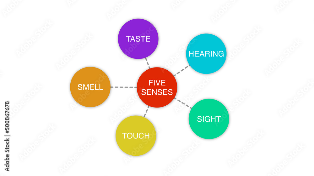 Five Human Senses Diagram on White Background