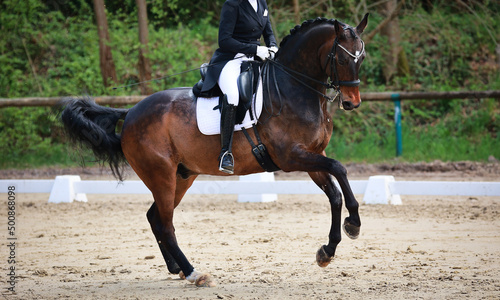 Dressage horse galloping during the change..