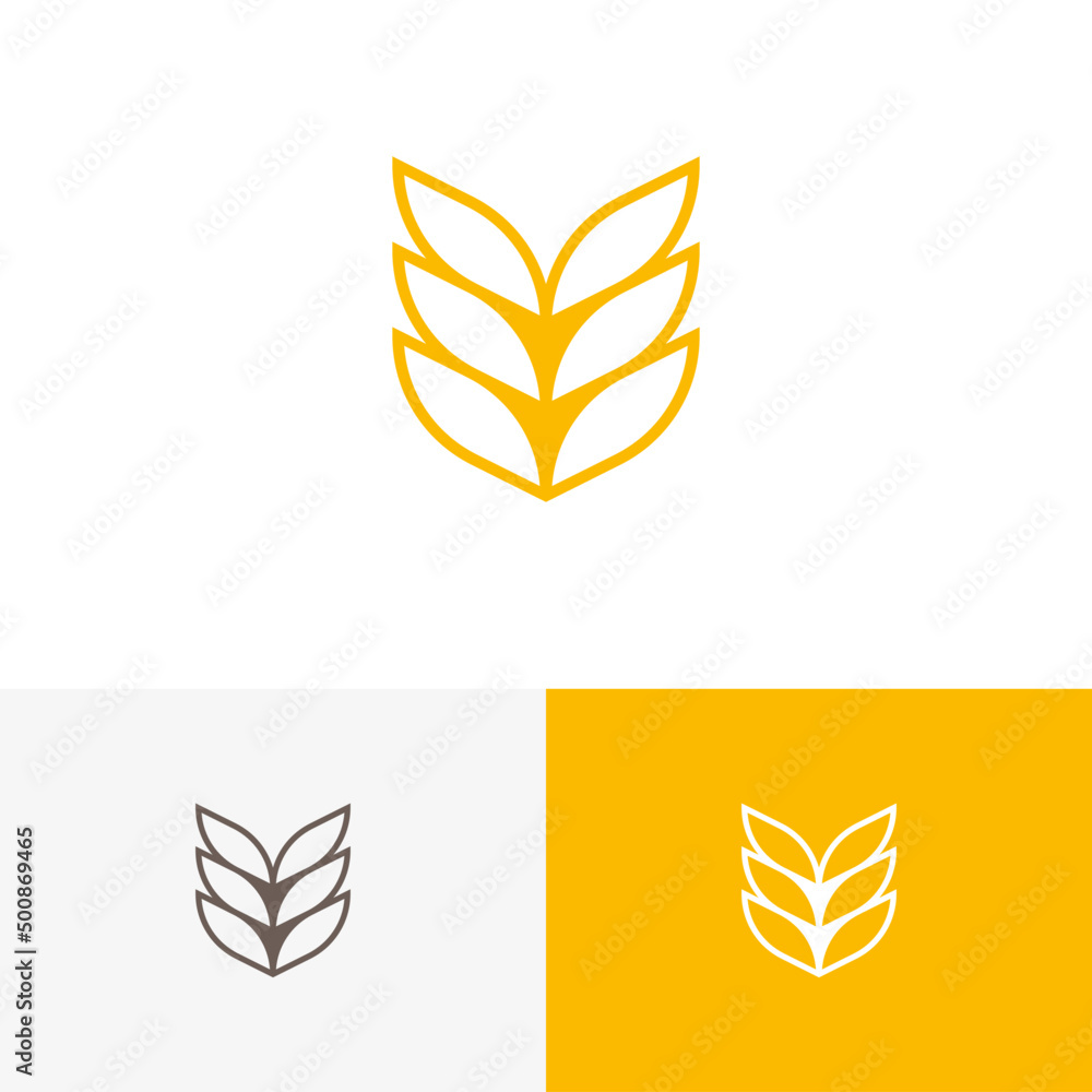 Modern lined wheat grain logo vector design concept. Agriculture farm company brand logomark illustration template. Representing organic, health, bread, cereal, plant, seed, vegan, food, harvest.