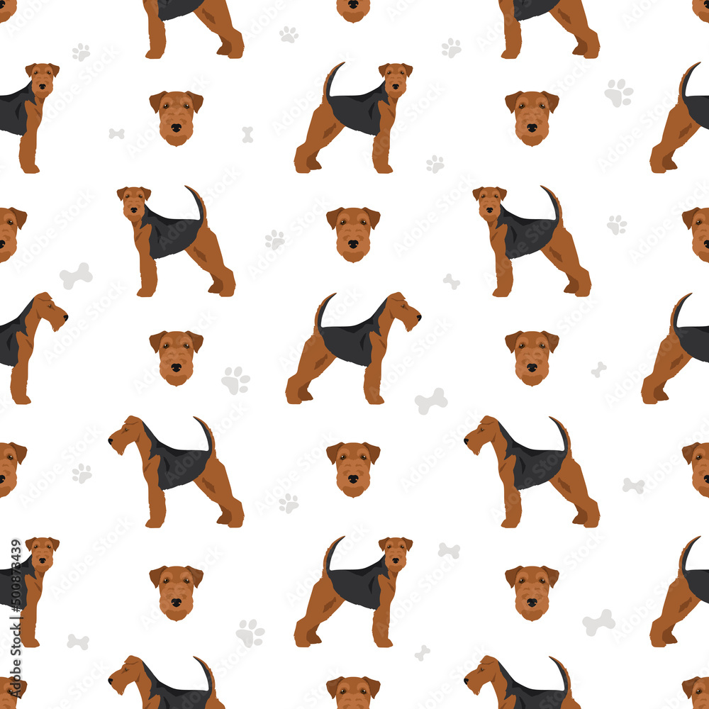 Welsh terrier seamless pattern. Different poses, coat colors set