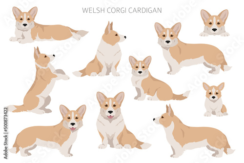 Welsh corgi cardigan clipart. Different poses, coat colors set © a7880ss