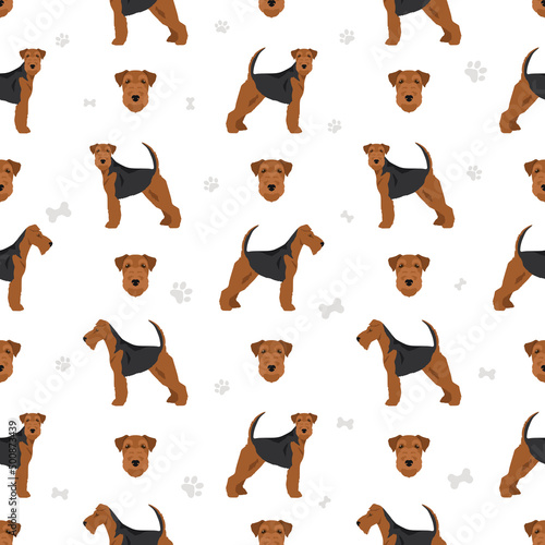 Welsh terrier seamless pattern. Different poses, coat colors set