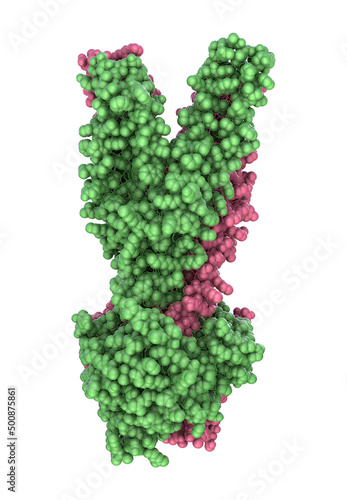 Multidrug transporter molecule, 3D illustration
