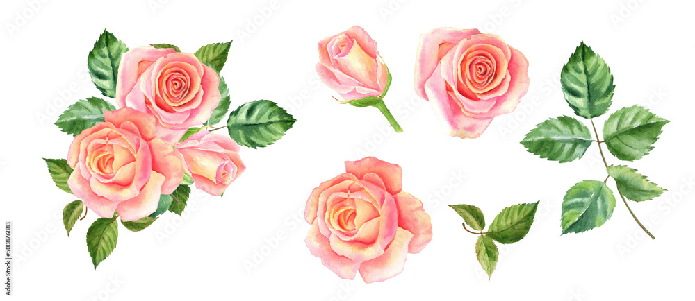 Naklejka premium Lavender flowers, watercolor illustration, isolated white background