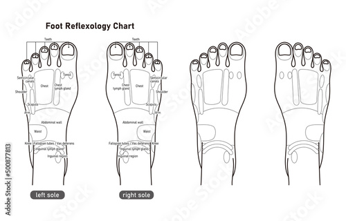 足の甲の反射区・足つぼ　モノクロイラスト(英語版)