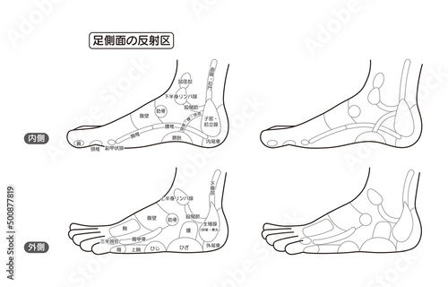 足側面の反射区・足つぼ　モノクロ図解イラスト