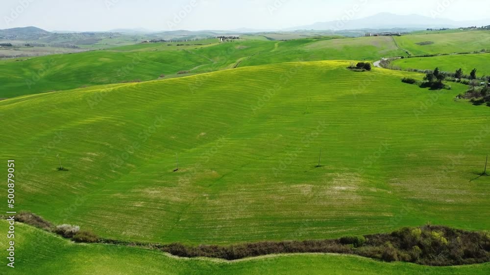 Europe, Italy , April 2022 - Drone aerial view of Tuscany countryside landscape in Asciano , Val D'orcia , Siena - Crete Senesi touristic attraction - green hill with yellow flowers and blue sky Europe, Italy , April 2022 - Drone aerial view of Tuscany countryside landscape in Asciano , Val D'orcia , Siena - Crete Senesi touristic attraction - green hill with yellow flowers and blue sky