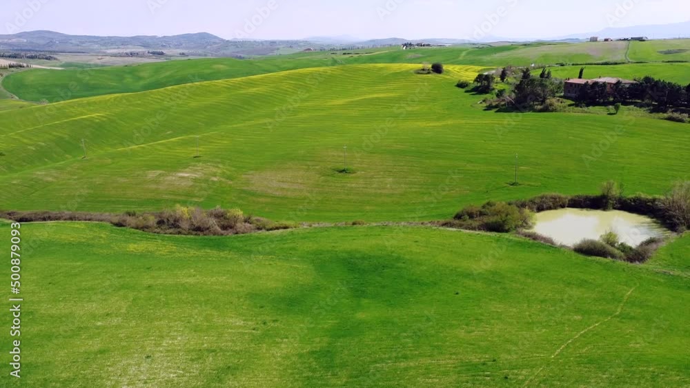 Europe, Italy , April 2022 - Drone aerial view of Tuscany countryside landscape in Asciano , Val D'orcia , Siena - Crete Senesi touristic attraction - green hill with yellow flowers and blue sky Europe, Italy , April 2022 - Drone aerial view of Tuscany countryside landscape in Asciano , Val D'orcia , Siena - Crete Senesi touristic attraction - green hill with yellow flowers and blue sky
