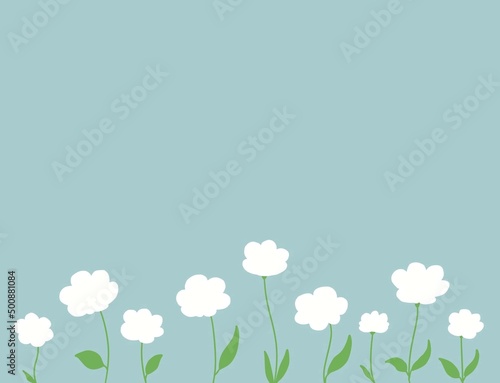 白いお花のイラスト　水色の壁紙