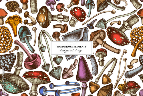 Forest mushrooms seamless pattern background design. Engraved style. Hand drawn mushrooms, fly agaric, blewit, etc.