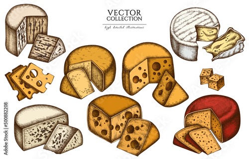 Cheese vintage illustrations collection. Hand drawn logo designs with brie, gouda cheese, roquefort, etc.