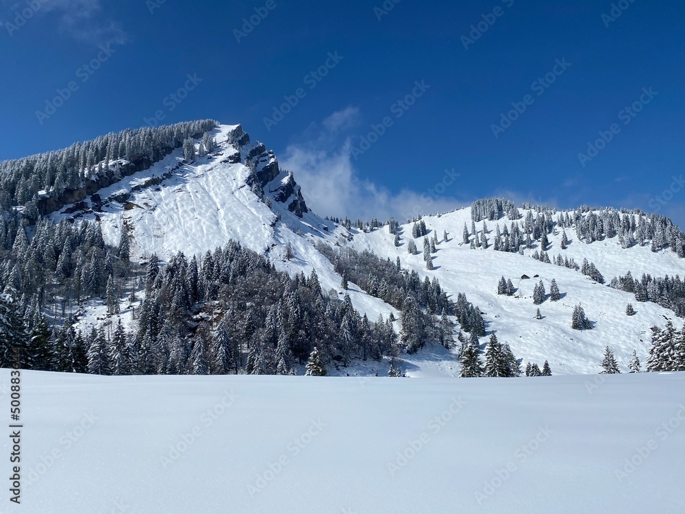 Fototapeta premium Fairytale alpine winter atmosphere and snow-capped alpine peak Stockberg (1781 m) in the Alpstein mountain massif, Nesslau - Obertoggenburg region, Switzerland (Schweiz)