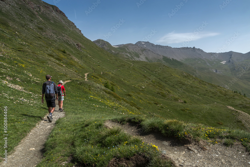 Sentier du Grand Laus , randonnée dans le massif du Queyras en été , Hautes-Alpes , France