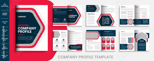 Company profile brochure template layout design multipage business brochure template desgn