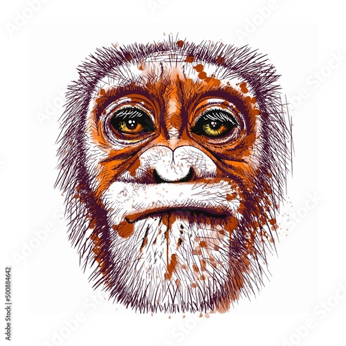 monkey, gorilla head, a portrait of a gorilla of a wild animal, for printing on t-shirts, an avatar, souvenirs