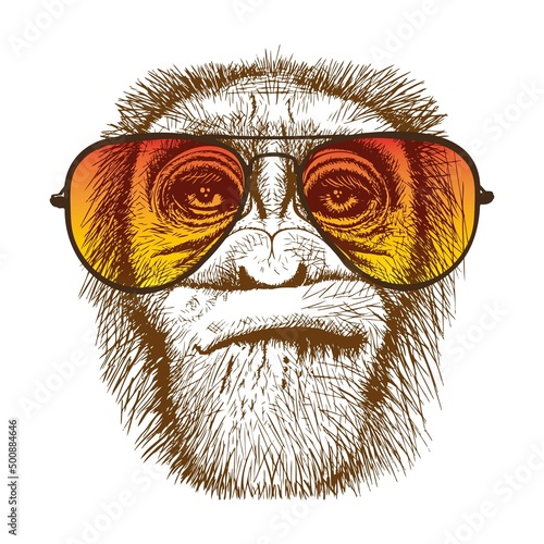 Portrait of a muzzle of a monkey in fashionable glasses, a portrait of a gorilla of a wild animal, for printing on t-shirts, an avatar, souvenirs