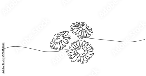 Continuous one line drawing of chamomile. Floral minimalist black linear design isolated on white background. Trendy vector illustration