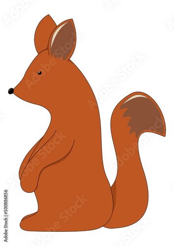 Eichhörnchen