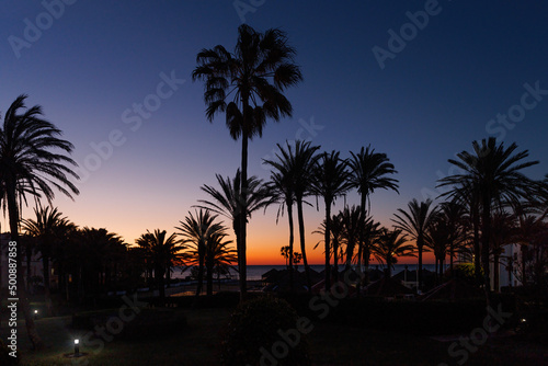 Panorama view Silhouette of plam trees with colourful twilight sky before sunset © Picturellarious