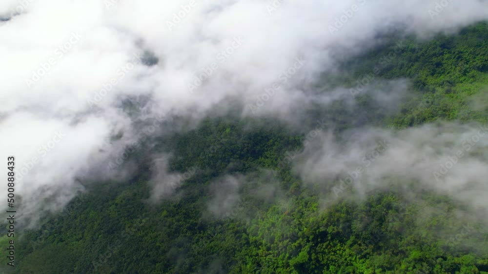 4K aerial view from a drone flying over the valley, fog in the morning. bright weather and amazing nature landscape. Khao sok National Park, Surat Thani, Thailand. 4K
4K aerial view from a drone flying over the valley, fog in the morning. bright weather and amazing nature landscape. Khao sok National Park, Surat Thani, Thailand. 4K