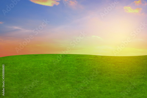 Green grass in the morning in the summer nature sky background.