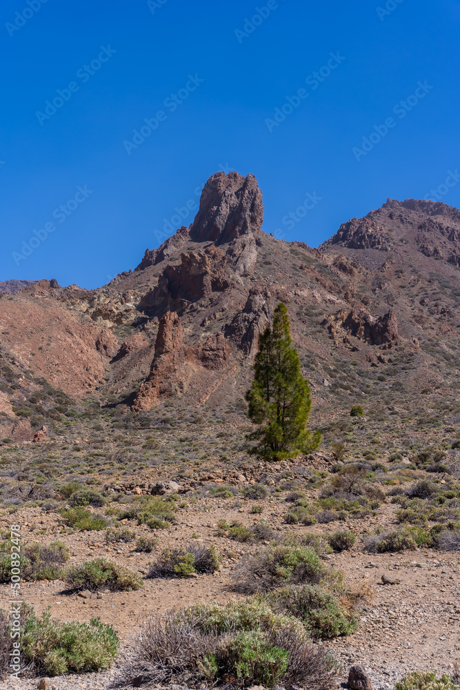 View from the Boca Tauce viewpoint in the Teide Natural Park in Tenerife, Canary Islands