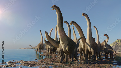 Alamosaurus, herd of Titanosaurus sauropod dinosaurs from the Cretaceous period photo