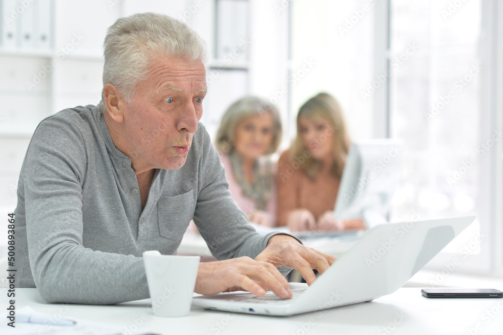 Portrait of senior man working with laptop at modern office