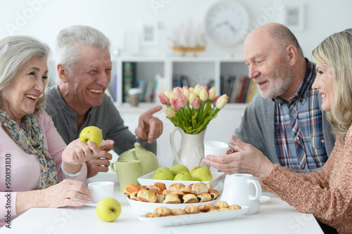 Portrait of two senior couples drinking tea