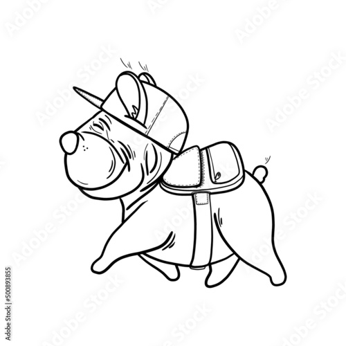 Funny french bulldog with a backpack for a walk, cute puppy, beloved pet