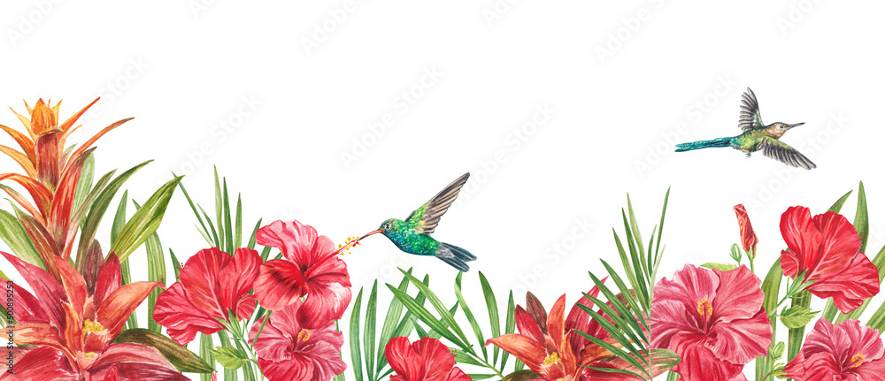Naklejka premium Horizontal border with tropical red flowers, green leaves, bromelia. Watercolor isolated pattern on white background, panoramic illustration summer tropics. Design website, greeting card,pack holiday