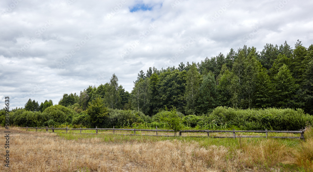 Panoramic photo of old wooden corral against a blue sky on a sunny day. Grass paddock on farmland with wooden fence on dense forest background. Rural view meadow and fenced place for walking livestock