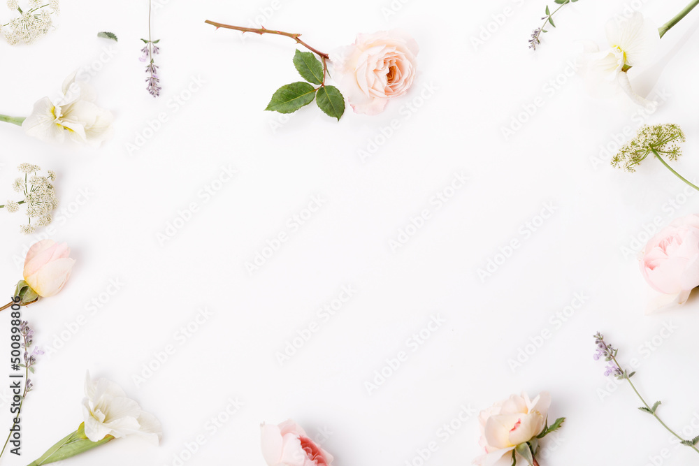 Flowers composition. Frame made of pink rose flowers on white background. Flat lay, top view Flowers composition. Frame made of pink rose flowers on white background. Flat lay, top view