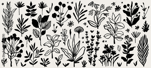 Tela Floral abstract shapes and leaves for natural modern botany design