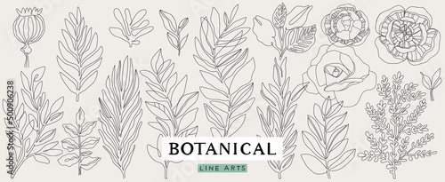 Botanical line art collection. Floral outline elements for print, logo, poster, card design