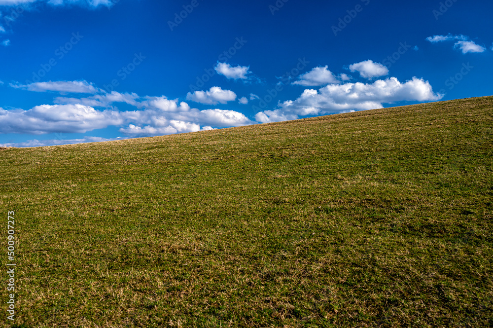 An empty background of a meadow and blue sky with white clouds.