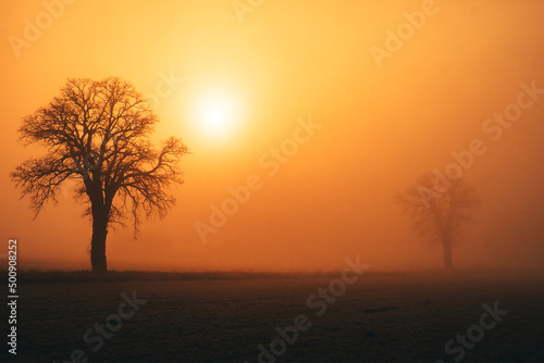 Wchód słońca we mgle © Dariusz