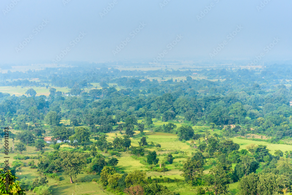 Jungle landscape of Jharkhand, India
