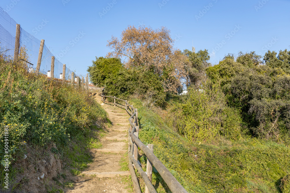 A long wooden pedestrian staircase from the base of the hill to its top For walks in the park. Green vegetation in the foreground.