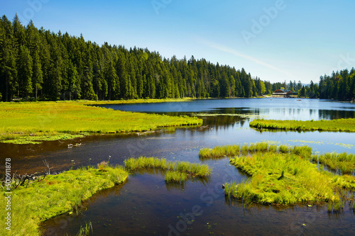 Beautiful Big Arber lake with its swimming islands in the Bavarian Forest, Germany.