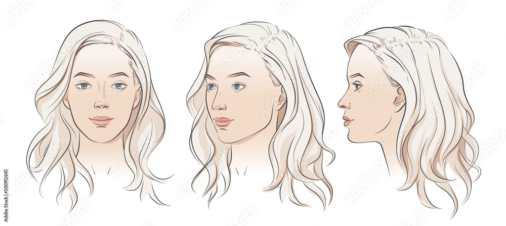 Vector woman face. Set of three different angles. Different view front, profile, three-quarter of a girl face. Vector woman face. Set of three different angles. Different view front, profile, three-quarter of a girl face.