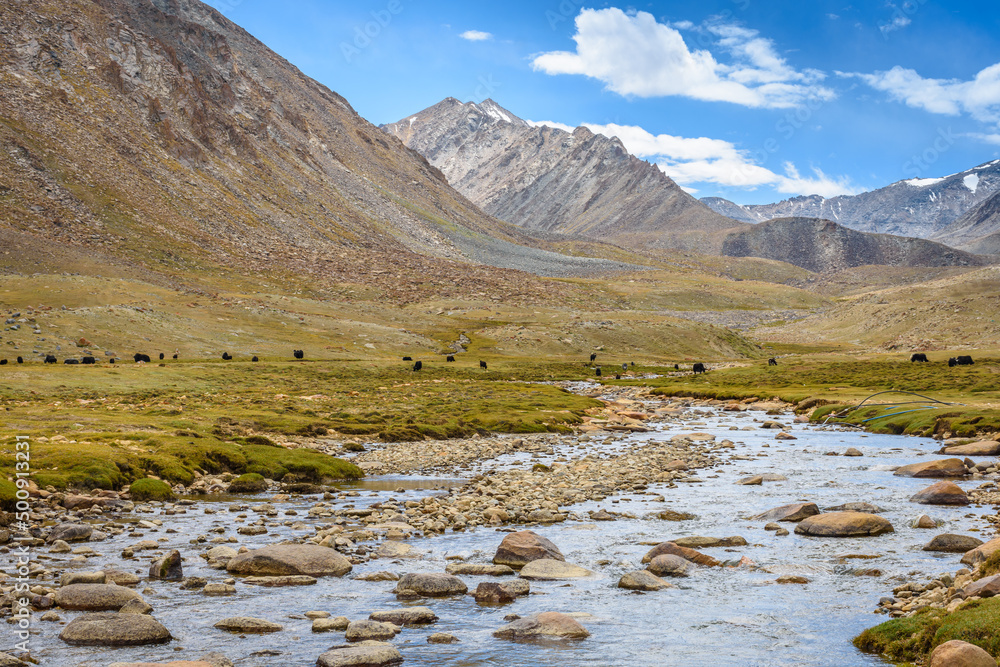 View of Nubra valley and Nubra river in Ladakh, India
View of Nubra valley and Nubra river in Ladakh, India