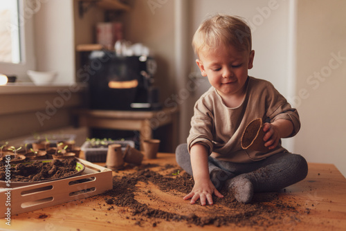 Papier peint Mess and dirt on a table while little boy is playing with potted seedlings at home