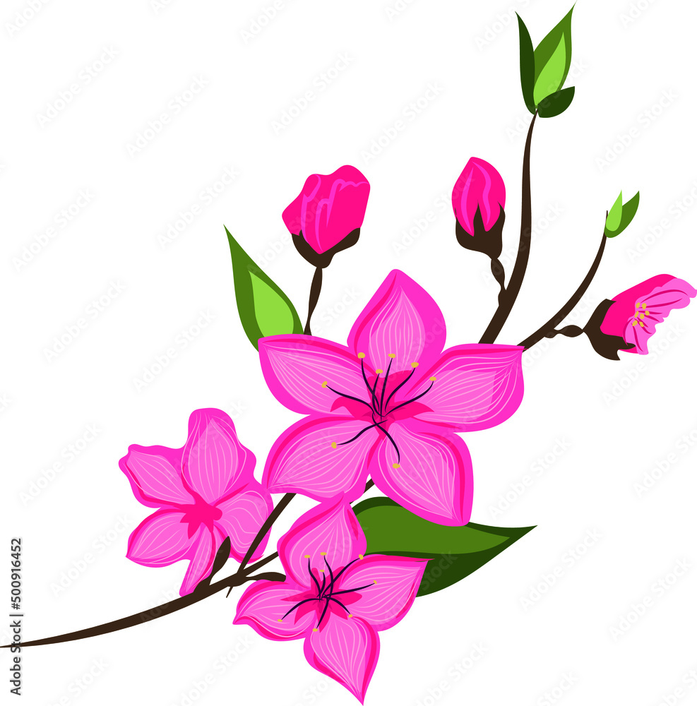 Vector image of spring blooming peach branch. Pink flowers with leaves. Vector image of spring blooming peach branch. Pink flowers with leaves.