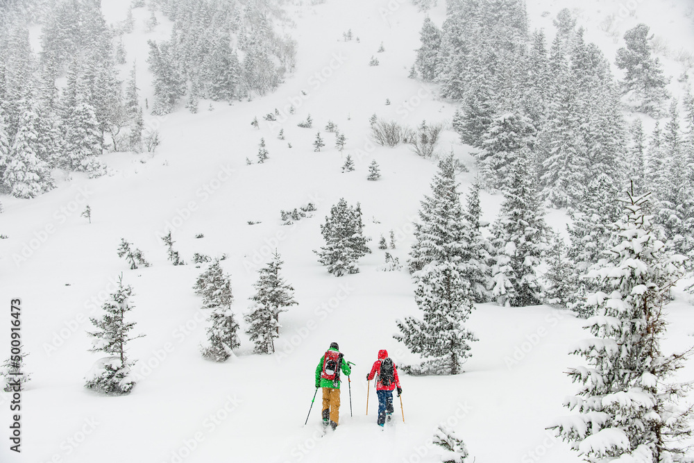 Two male skiers in bright suits with ski equipment are walking along the winter snow trail