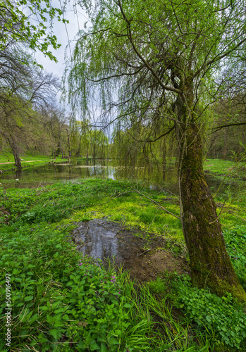 Spring picturesque pond in the former Orlovsky estates park  Maliivtsi  Khmelnytsky region  Ukraine.