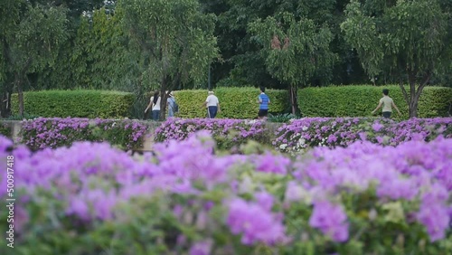 people walk in the park