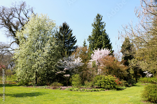 Park in springtime, Kalmthout, Belgium