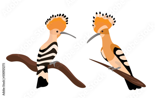 urban birds illustration vector